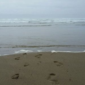 Kelly *Posh Ambassador*